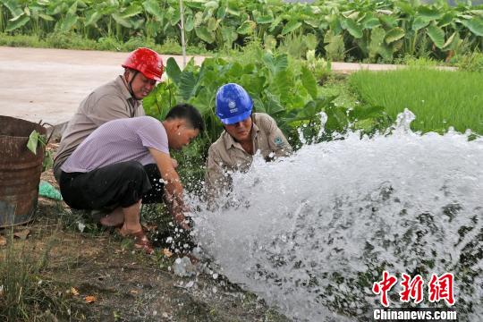 福建高温最早情况探究与分析