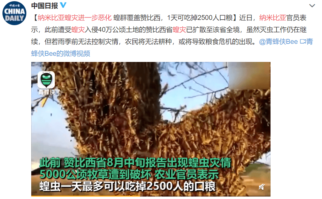 粮食危机的首发情报及其影响深度分析