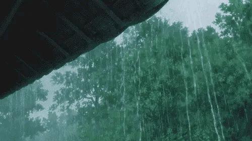 暴雨天气预报最早