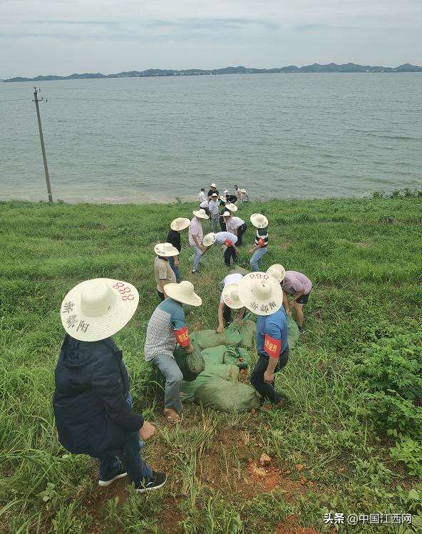 鄱阳灾区最早情况深度解析与报道