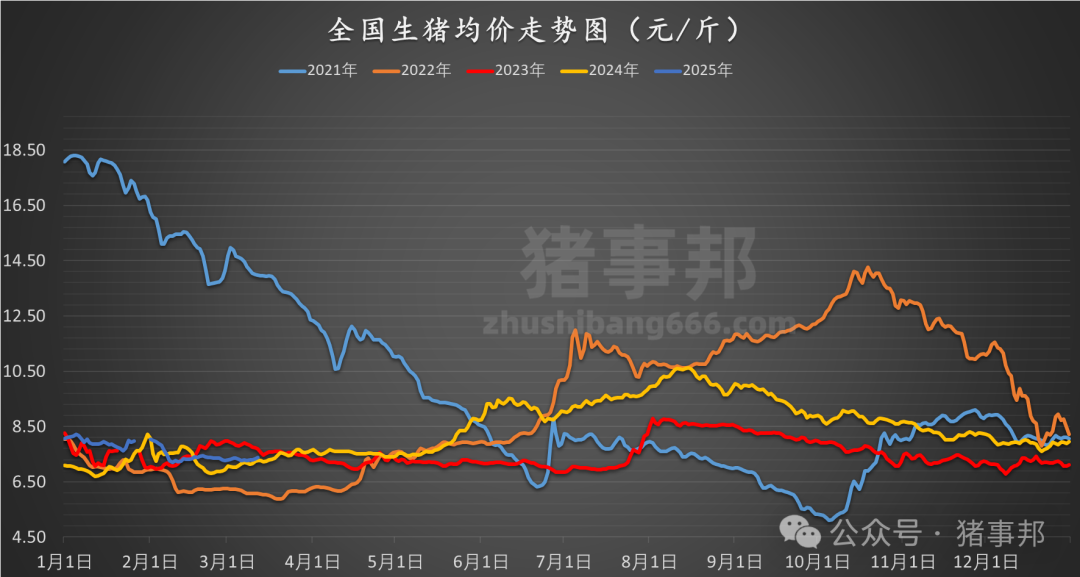 今日猪价行情分析，早期价格动态与展望